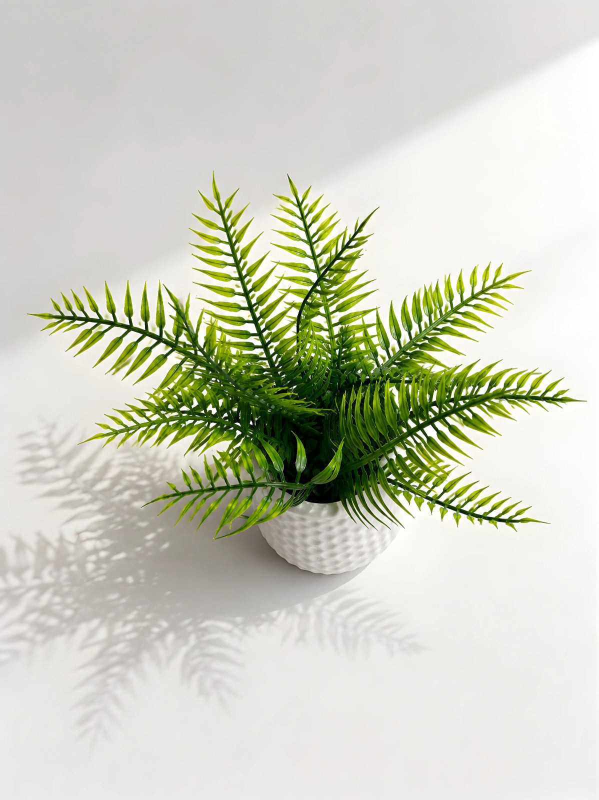 Artificial Fern Plant