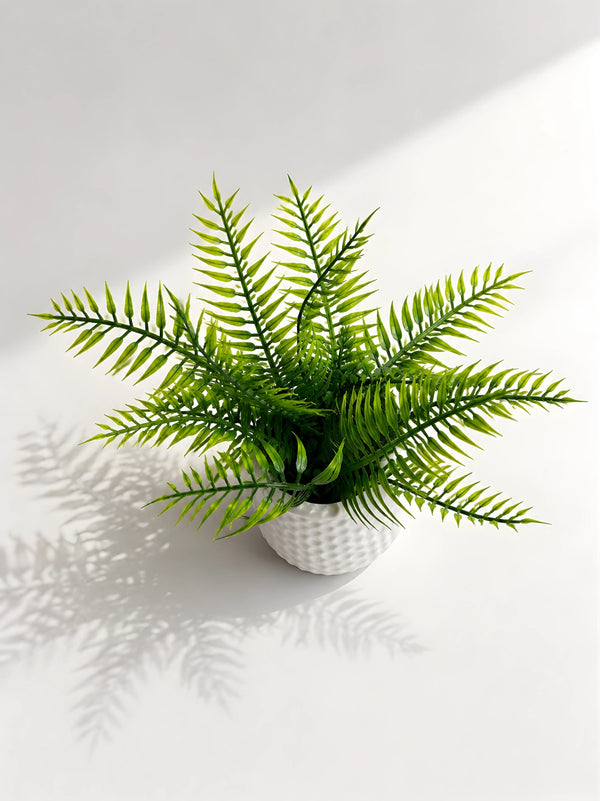 Artificial Fern Plant